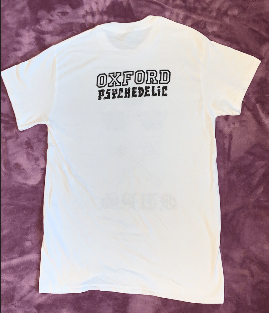 Image of Varsity unisex classic jersey t-shirt white (certified organic cotton)