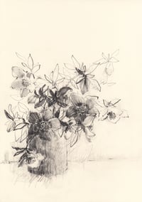 Vase of hellebores no. 1
