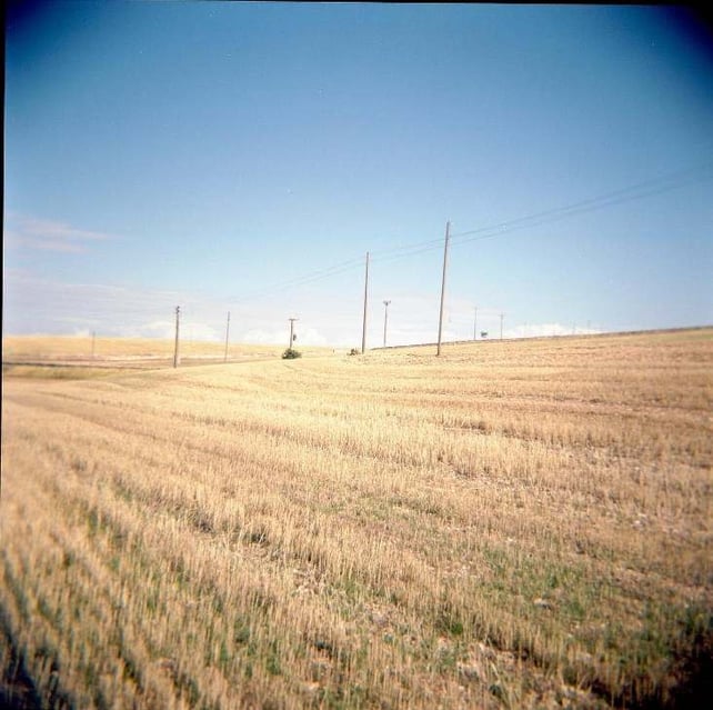 Image of HOLGA 120 with FLASH