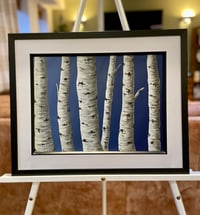 Image 2 of 'Silver Birches'