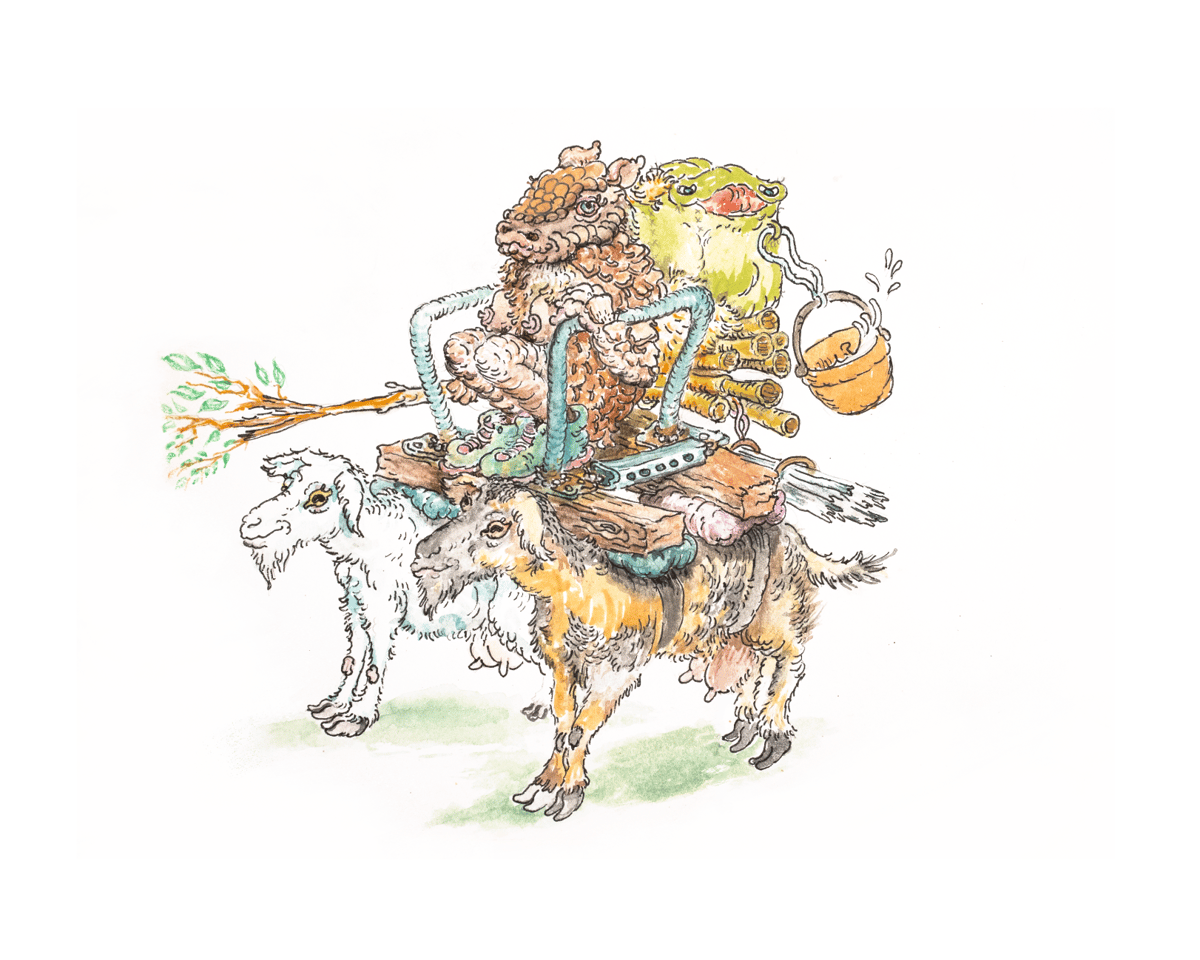 Image of Armadillo on Goats