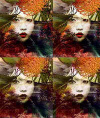 Image 3 of Geisha scarf