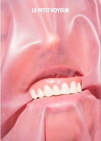 Image 1 of Le Petit Voyeur #7