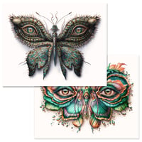 Image 1 of Lepidoptera 16/17 - 2 print set