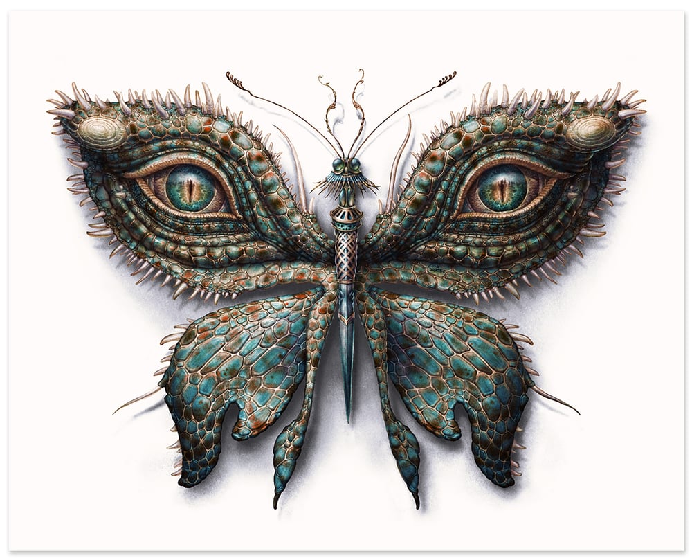Image of Lepidoptera 16/17