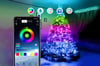the smart tree