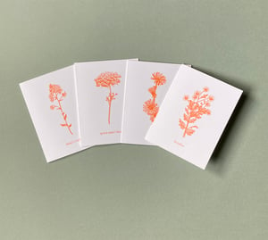 A2 Risograph notecards: wildflowers of New York