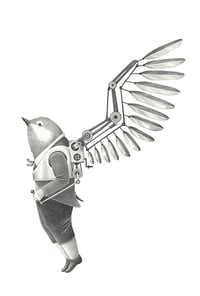 Image 2 of bird - original drawing
