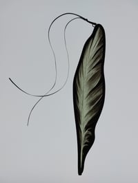 Feather - 38