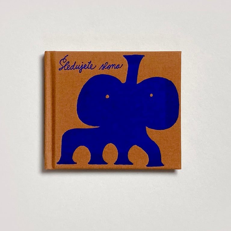 Jakub Plachý: Sledujete slona