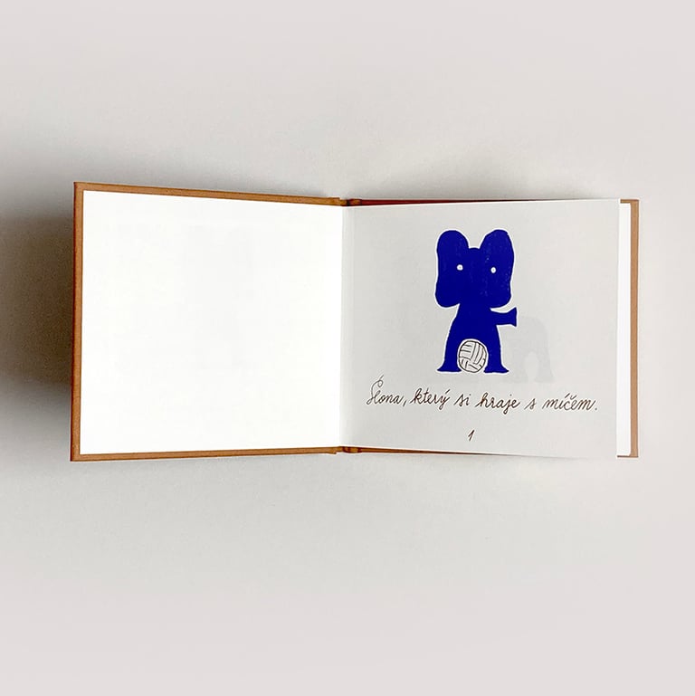 Jakub Plachý: Sledujete slona Image 2