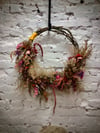 Coral Charm, Medium