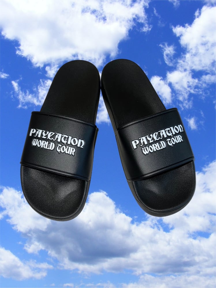 Image of PAYCATION SLIDES