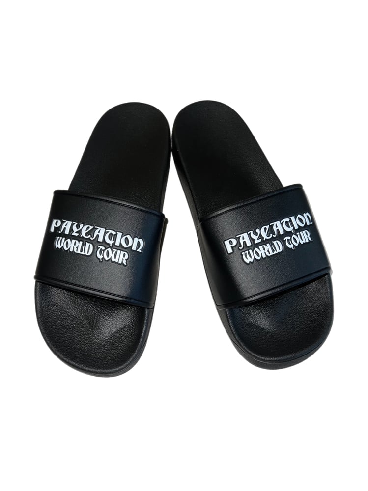 Image of PAYCATION SLIDES