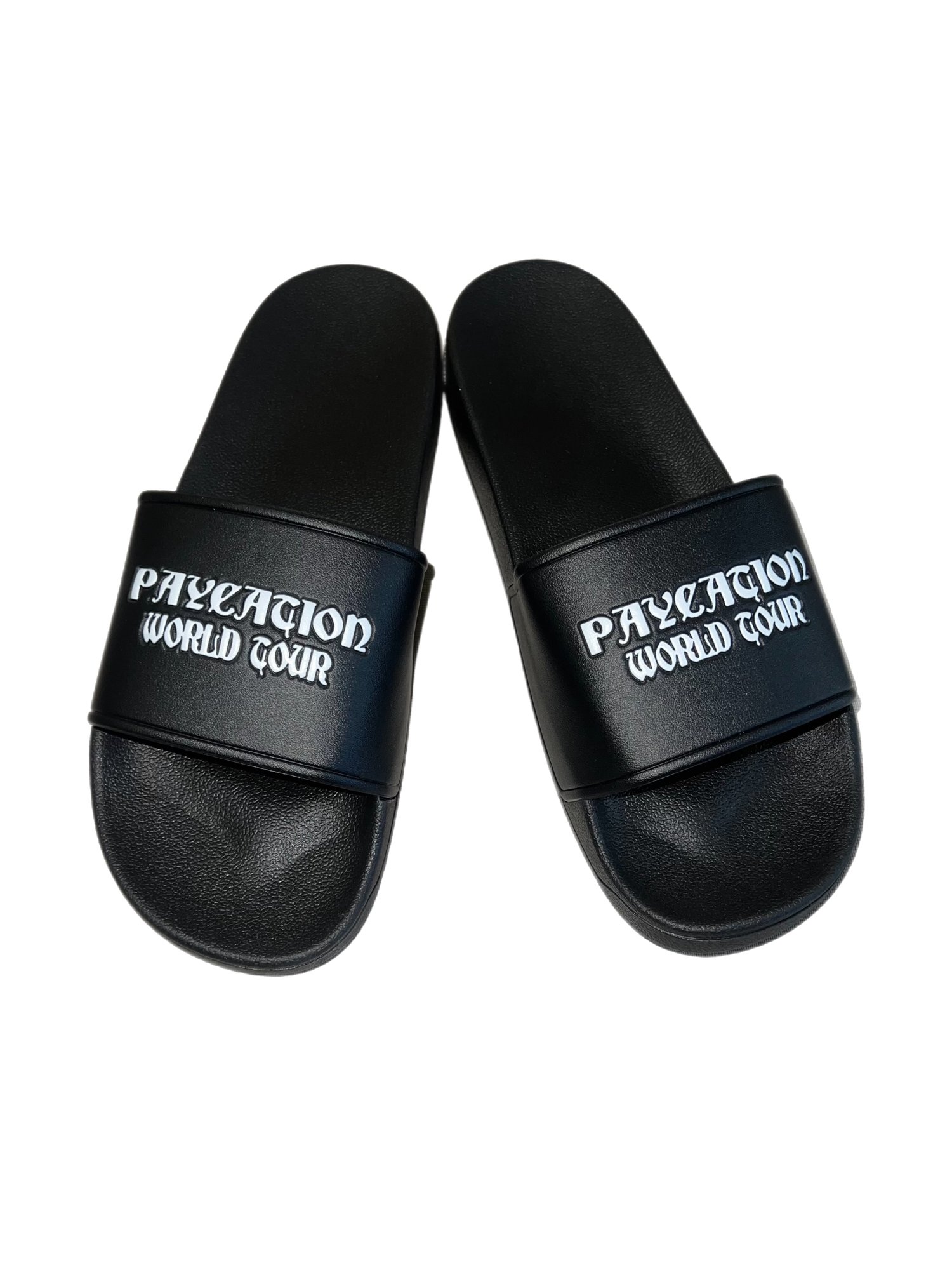 Image of PAYCATION SLIDES 