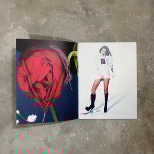 SUPREME ARAKI ZINE
