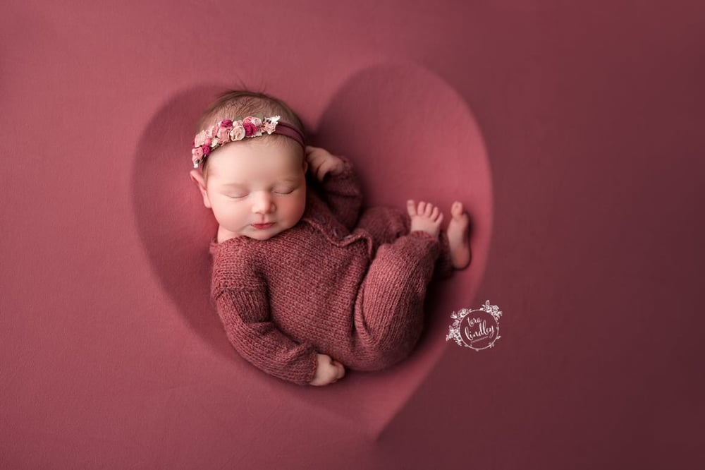 Image of Jeri cashmere Beanbag Backdrop in Rose