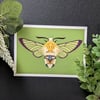 Narrow Bordered Bee Hawk Moth Print
