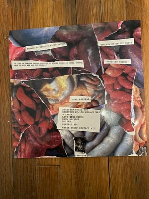 Female Autoerotic Asphyixation / Goulash Of Emetic Waste split LP 