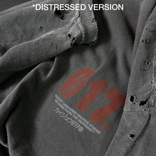 Image of AHFY_SST FADED