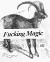 Fucking Magic #13 (Zine)