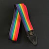 Ernie Ball 2 inch Poly Pro strap - Rainbow