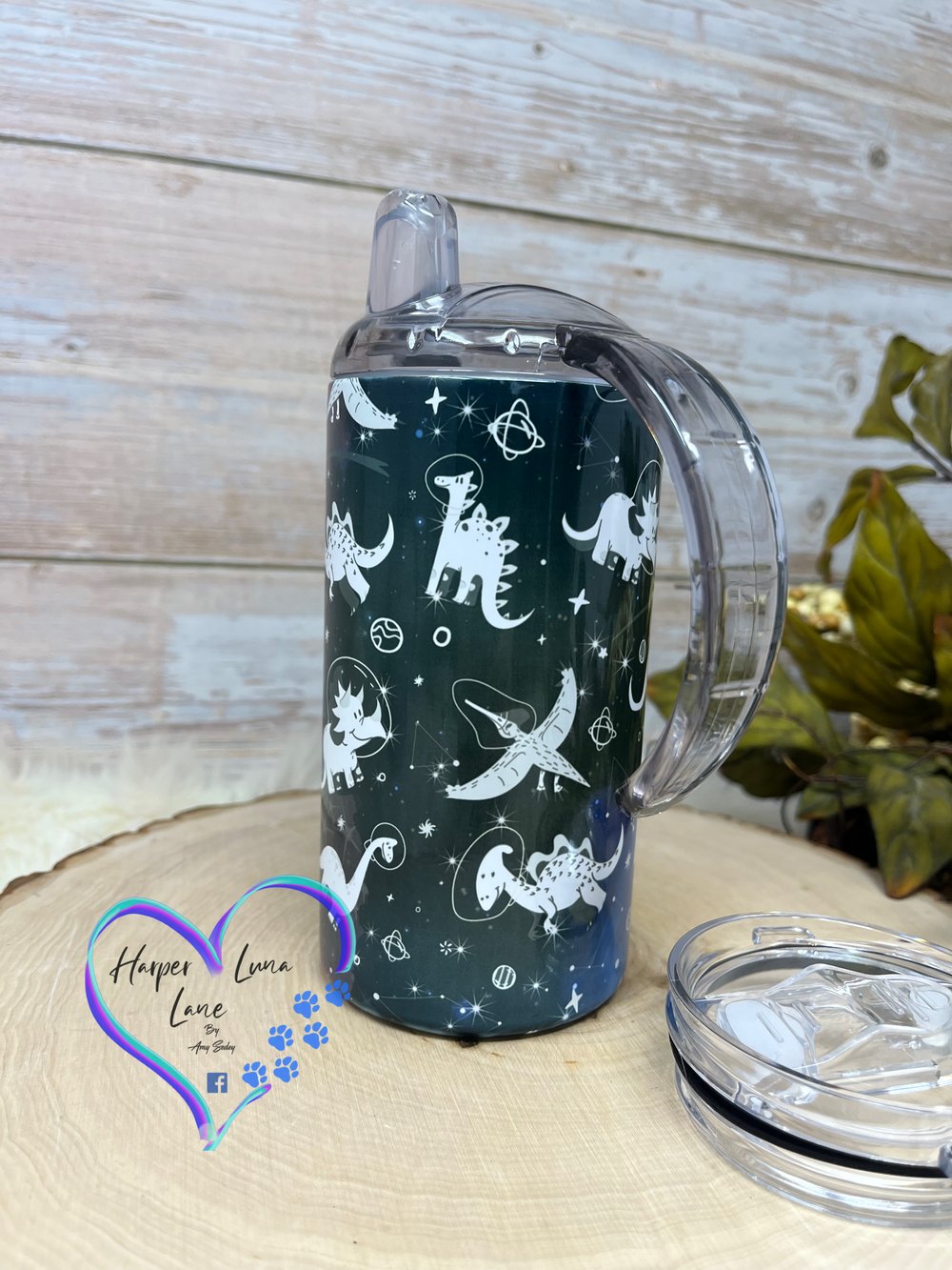 Image of 12oz Space Dinosaur Sippy and Transition Tumbler 