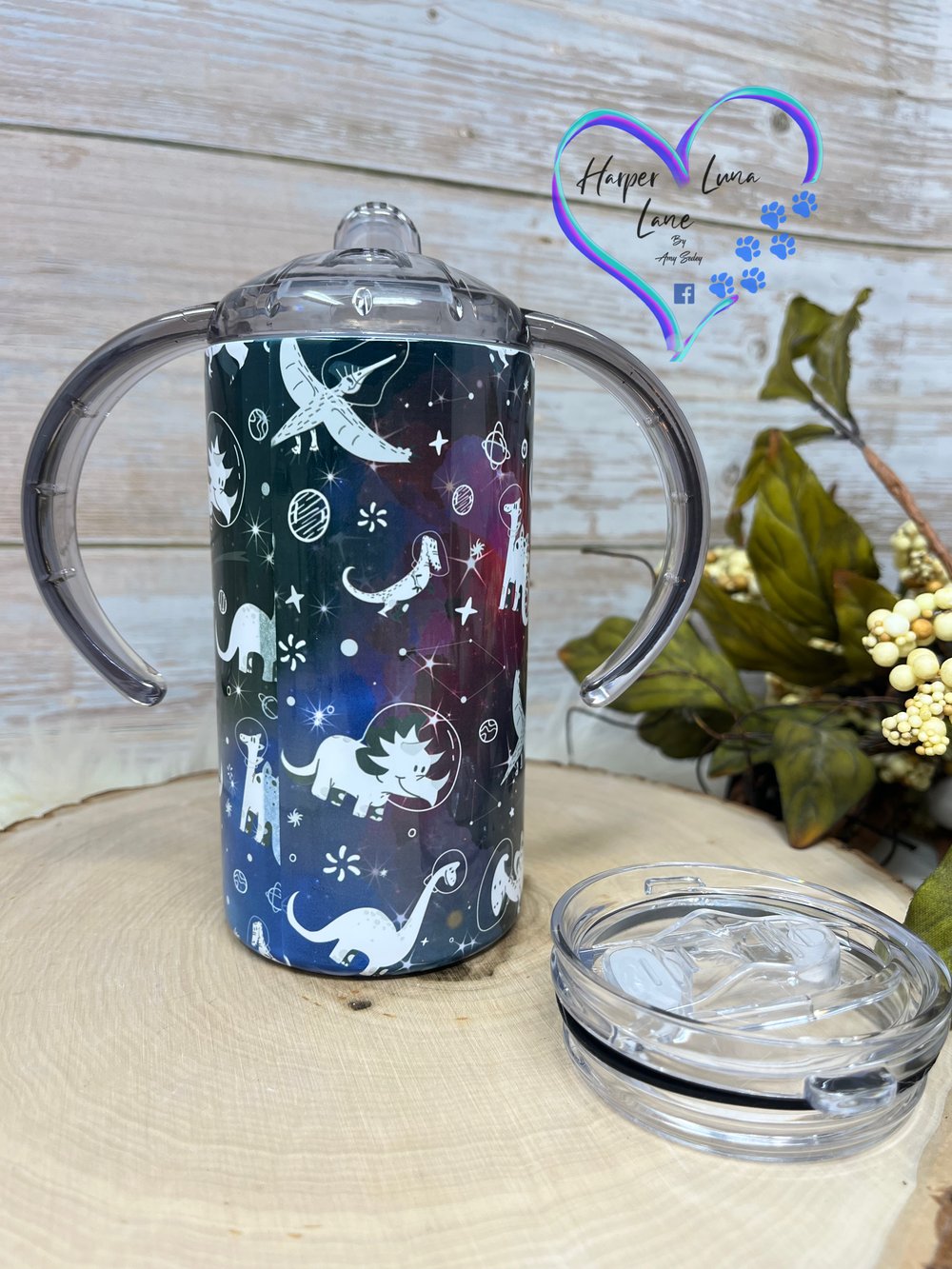 Image of 12oz Space Dinosaur Sippy and Transition Tumbler 