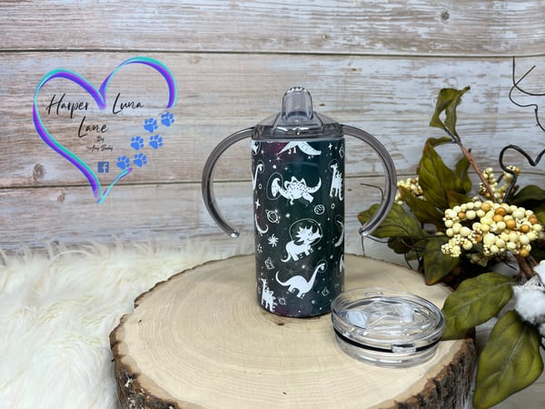 Image of 12oz Space Dinosaur Sippy and Transition Tumbler 
