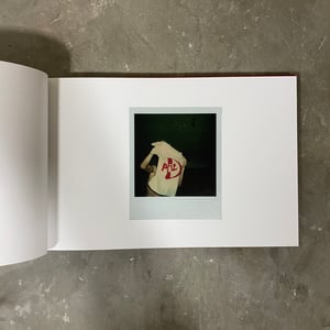 JEANNETTE LEE PRIVATE IMAGE BOOK