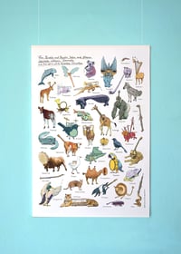 Image 1 of Instrumentiere | Kleines Poster | DIN A2