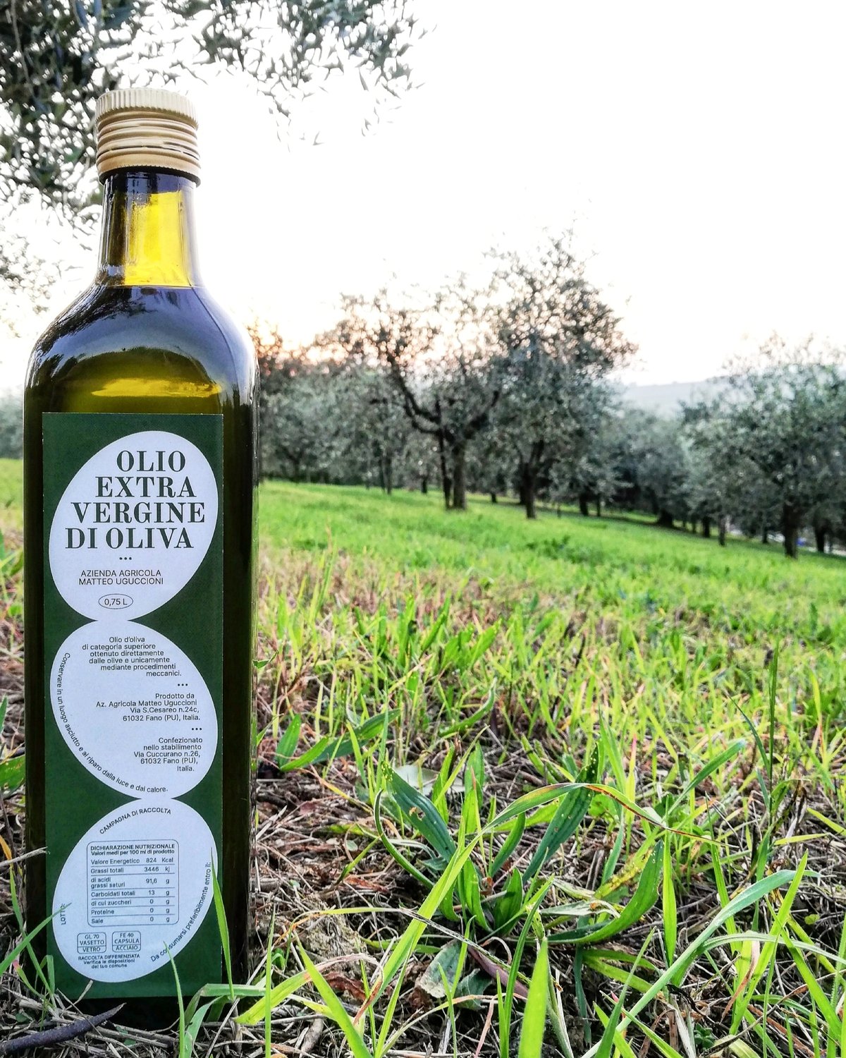 Olio extravergine di oliva 