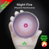 Night Fire (Mycena Noctilucens) Live Mycelium Mushroom Culture Spawn Seed