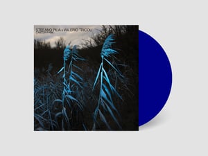 Stefano Pilia & Valerio Tricoli - Cantor Park (IMP079)