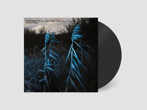 Stefano Pilia & Valerio Tricoli - Cantor Park (IMP079)