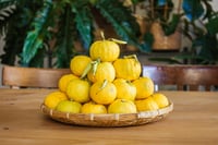 Image 2 of Pack Saucy limited edition 12/2025