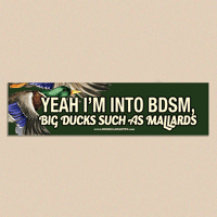 Big Ducks Bumper Sticker