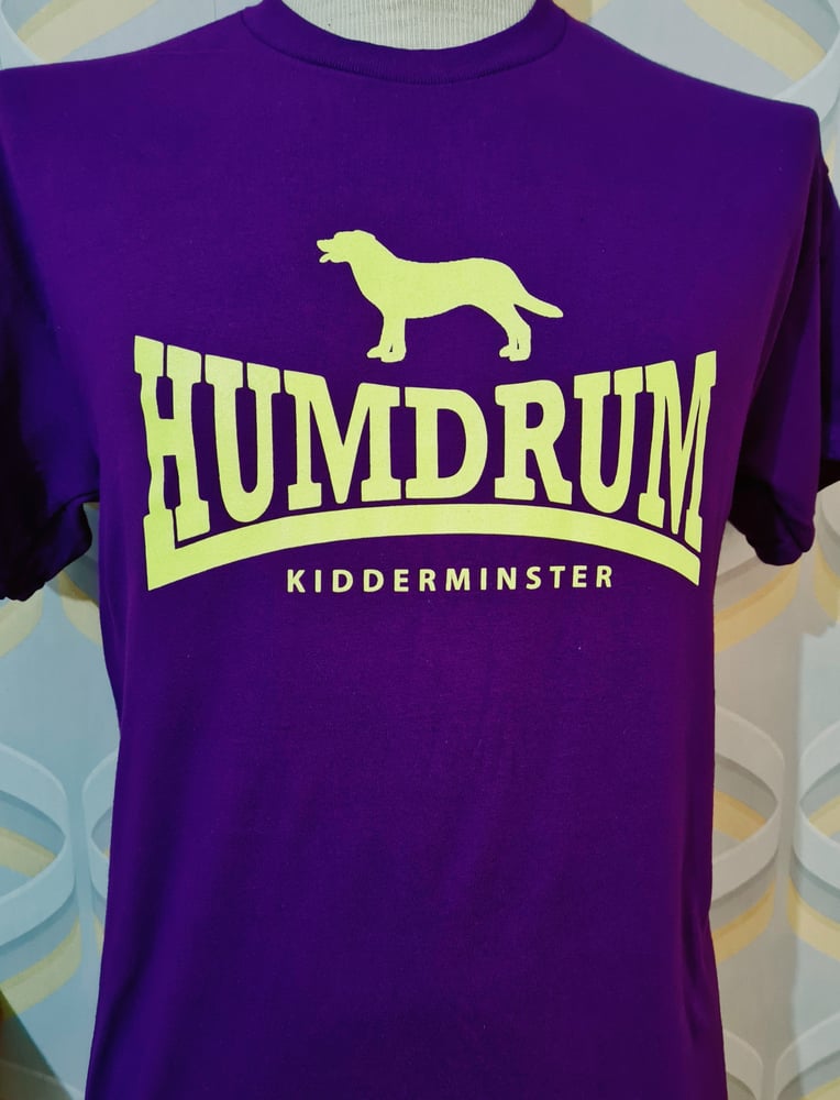 Image of *New* Humsdale Tay-shirt