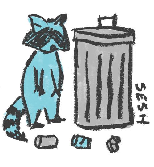 Image of KIDS Garbage Racoon Shirt and sweatshirt 