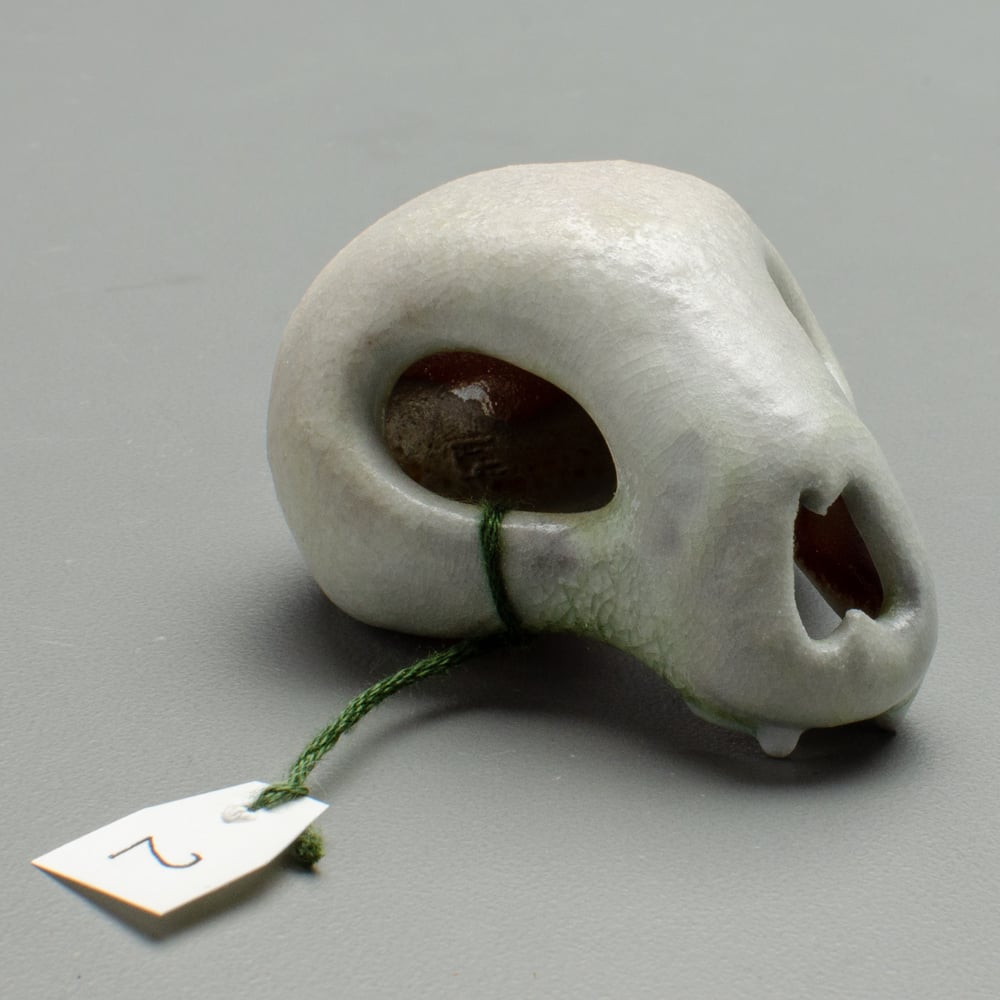Image of Tiny Skull Number 2