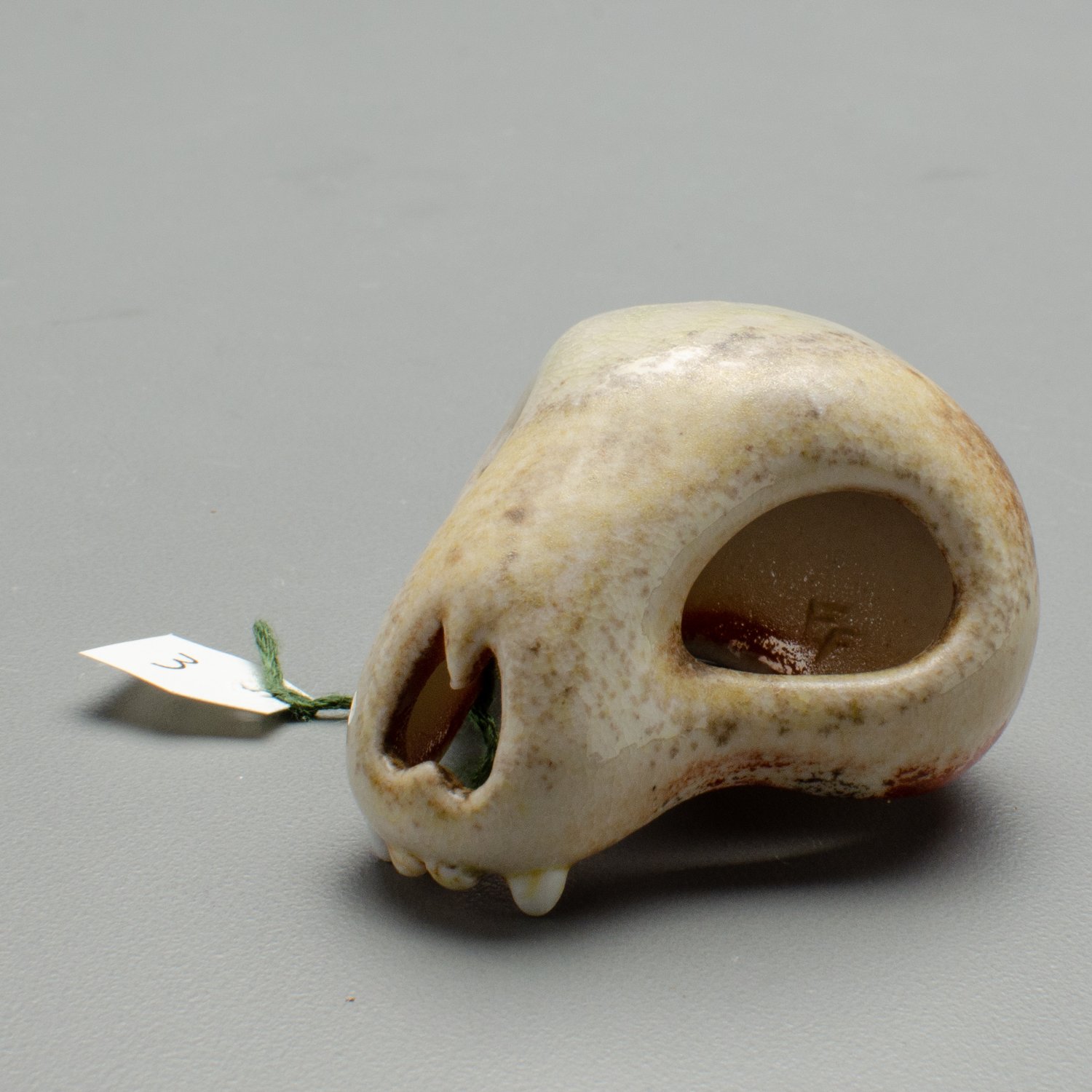 Image of Tiny Skull Number 3