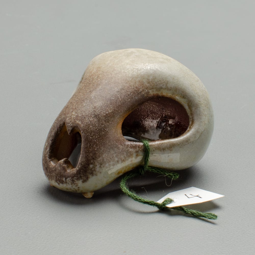 Image of Tiny Skull Number 4