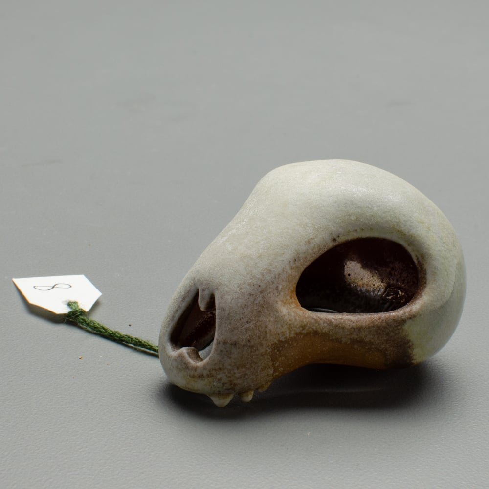 Image of Tiny Skull Number 8