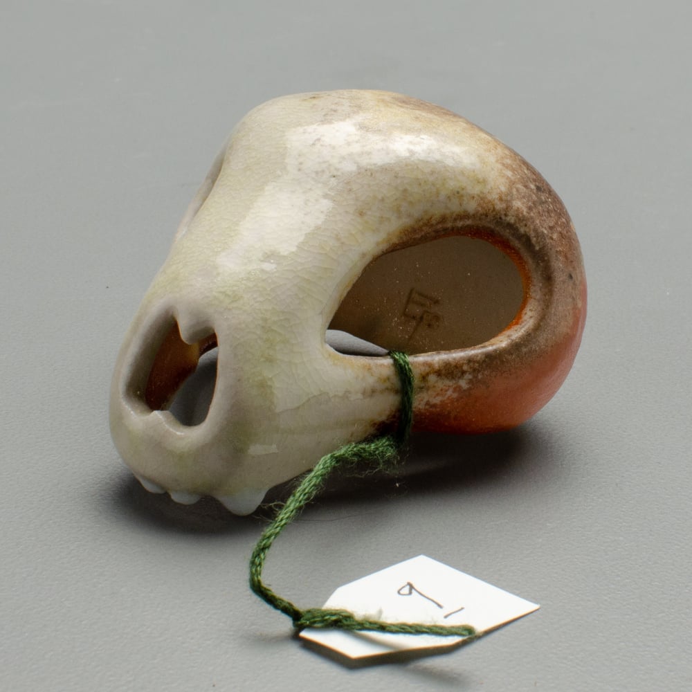 Image of Tiny Skull Number 9