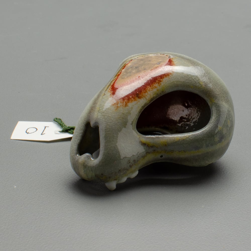 Image of Tiny Skull Number 10