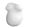 Pearlhead Belly Casting Pregnancy Mold Kit
