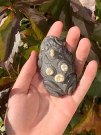 Image 1 of  teeth frog totem