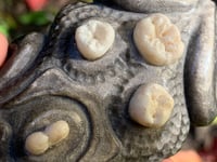 Image 2 of  teeth frog totem