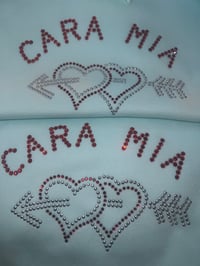 💚RESTOCK Cara Mia Edition💚restock PRE ORDER