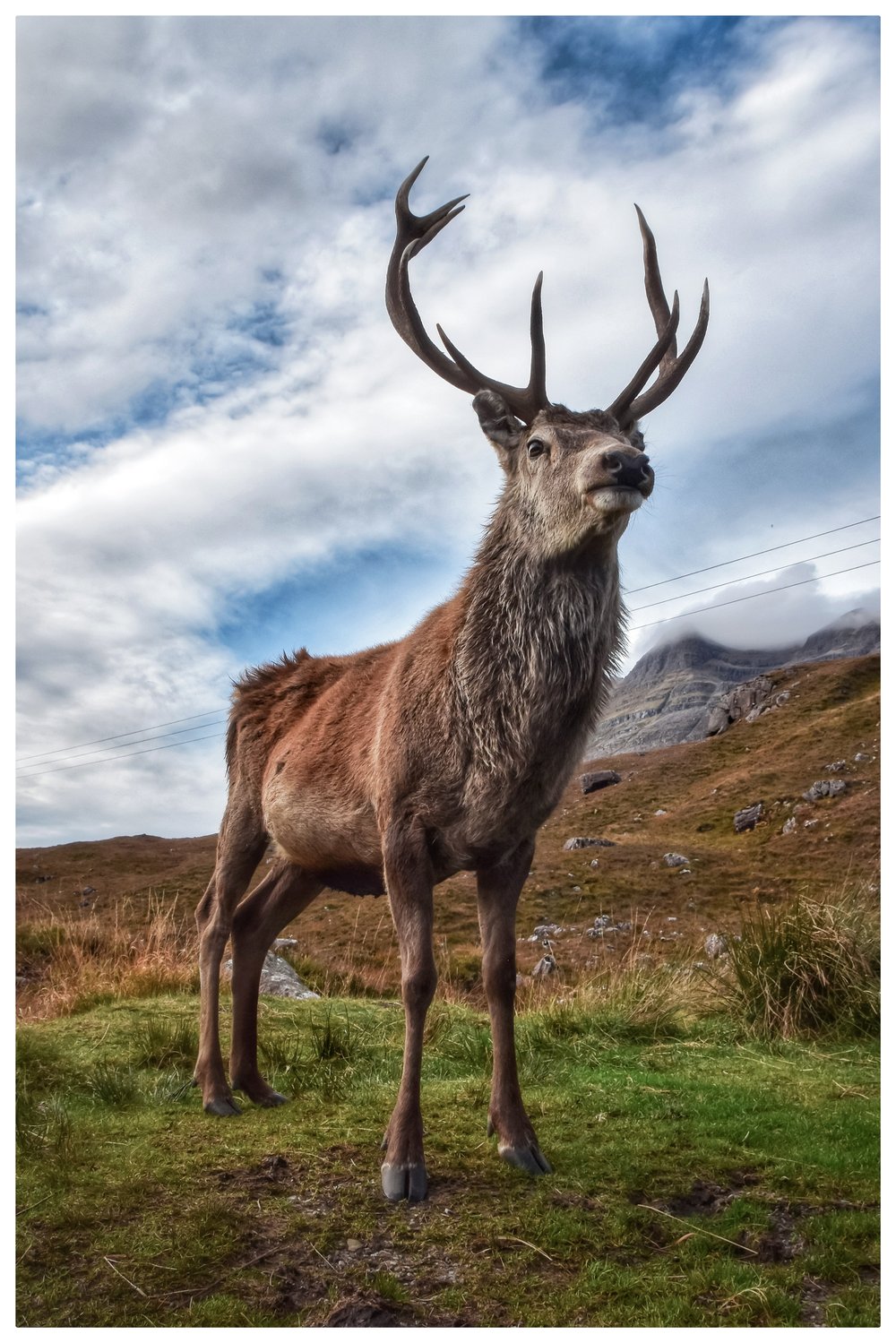 Image of Calum of Torridon 